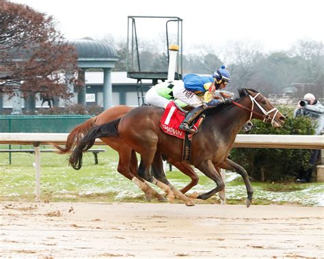 Kentucky Derby Futures: Odds Movement in Vegas as Spring .